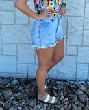 Frayed Denim Shorts